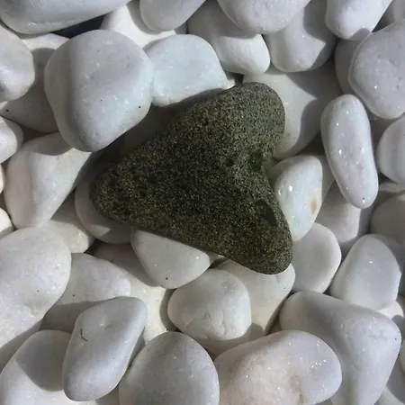 La מלון דירות 4*