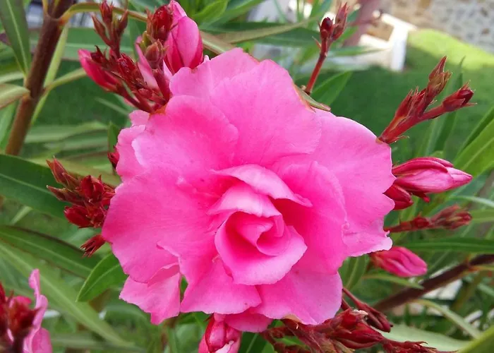 La Lägenhetshotell 4*