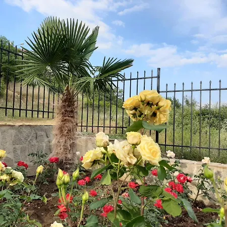 شقة فندقية La